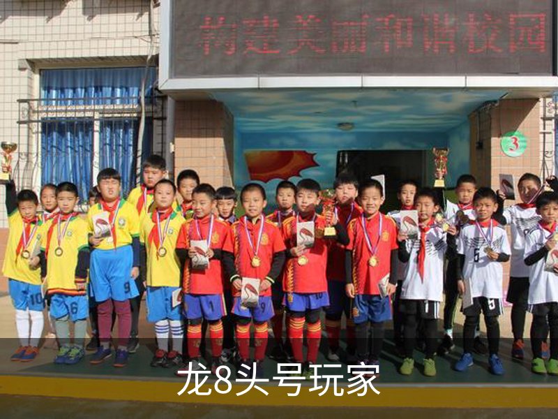 龙8头号玩家品牌故事